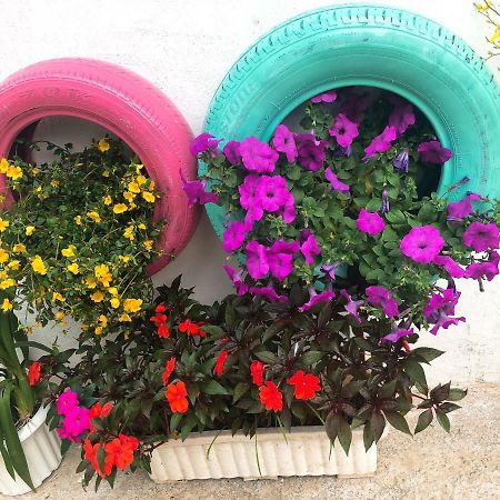 Thu Linh Guesthouse Dalat Exterior foto